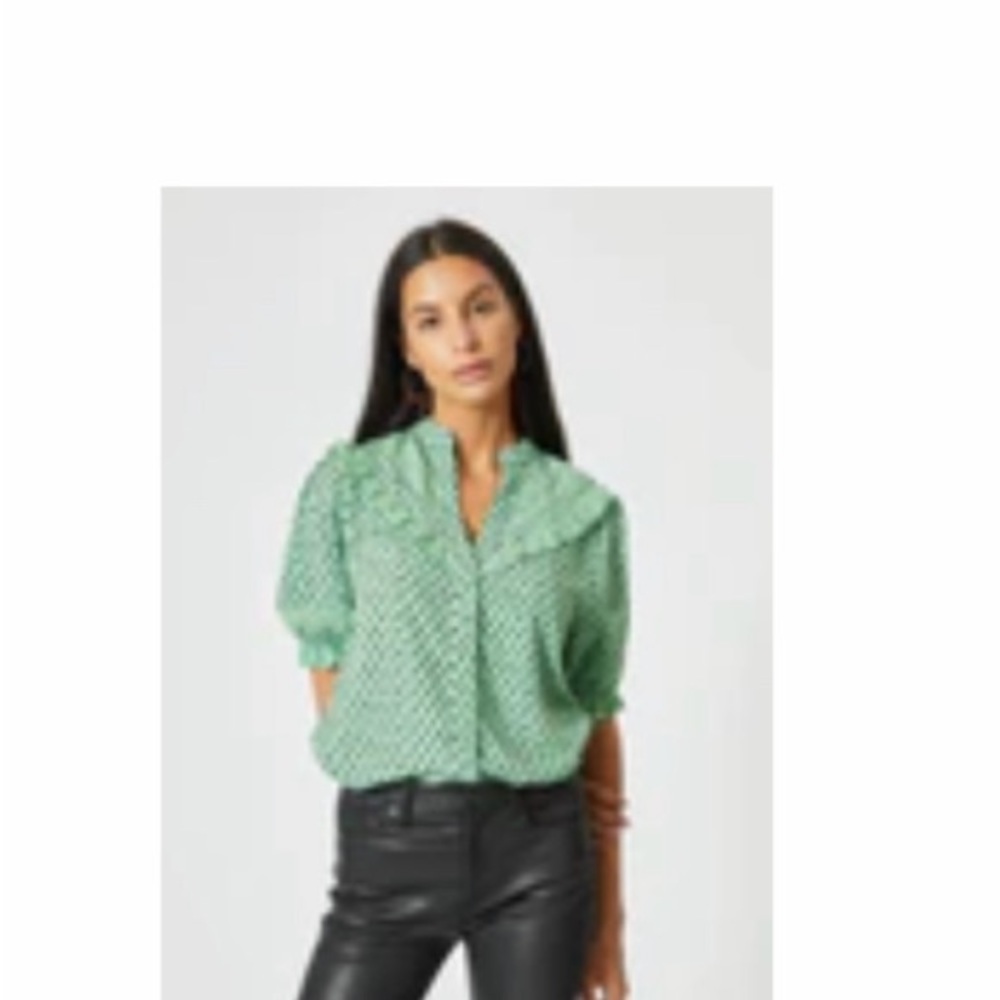 The Shirt by Rochelle Behrens Sacha Green